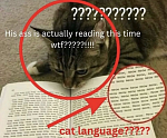 technyk
